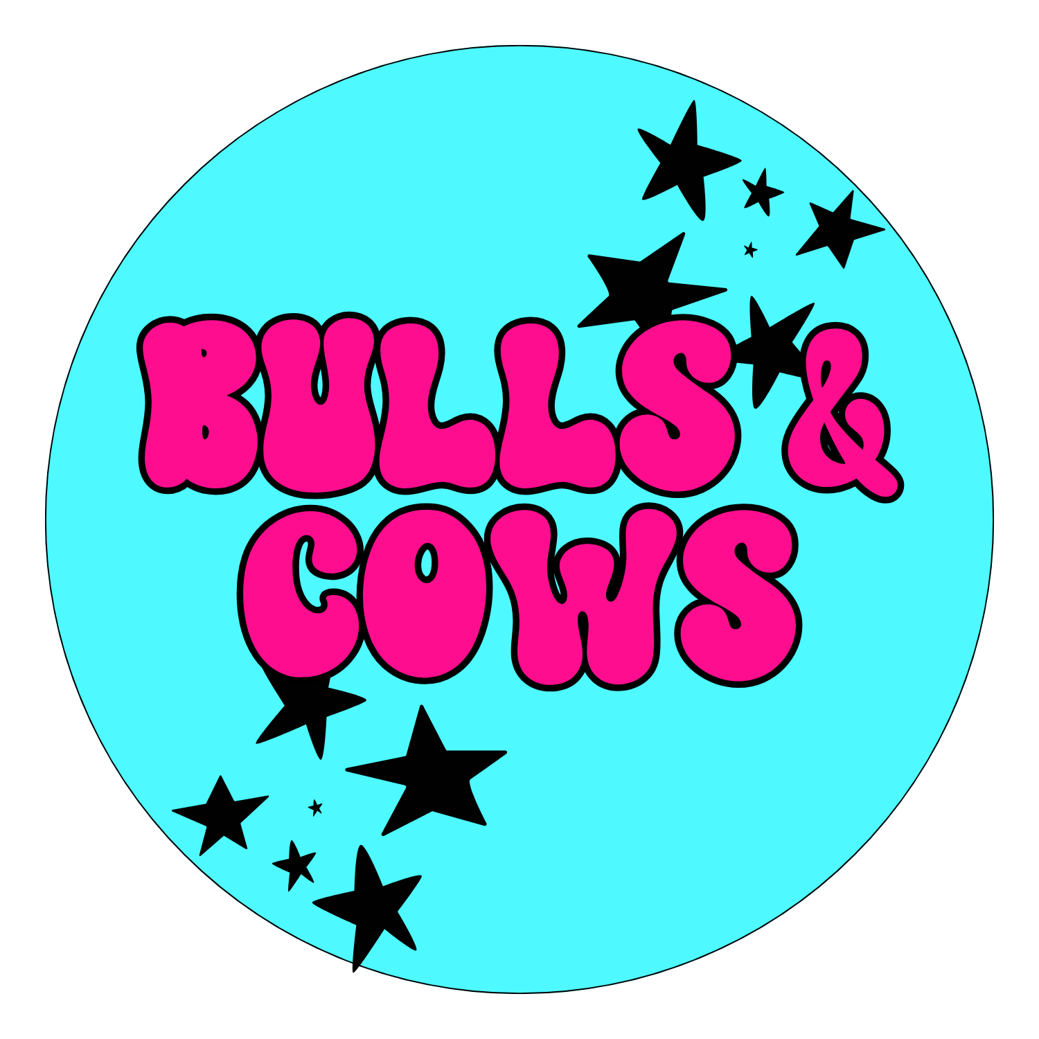 Bulls & Cows