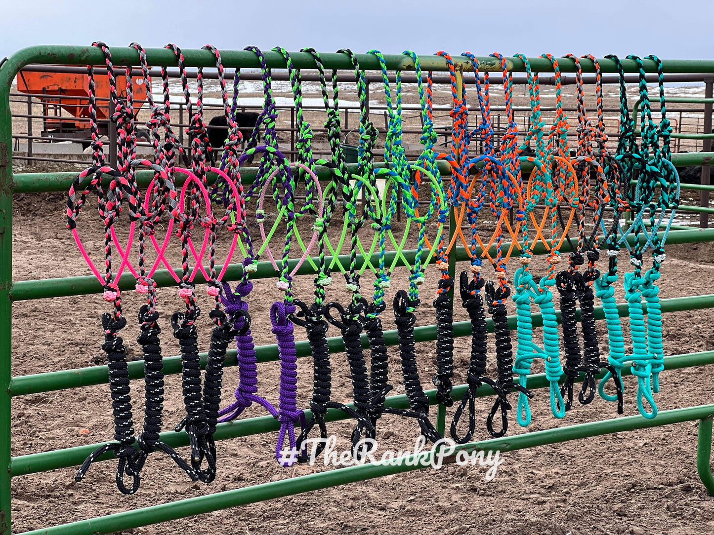 Braided Noseband