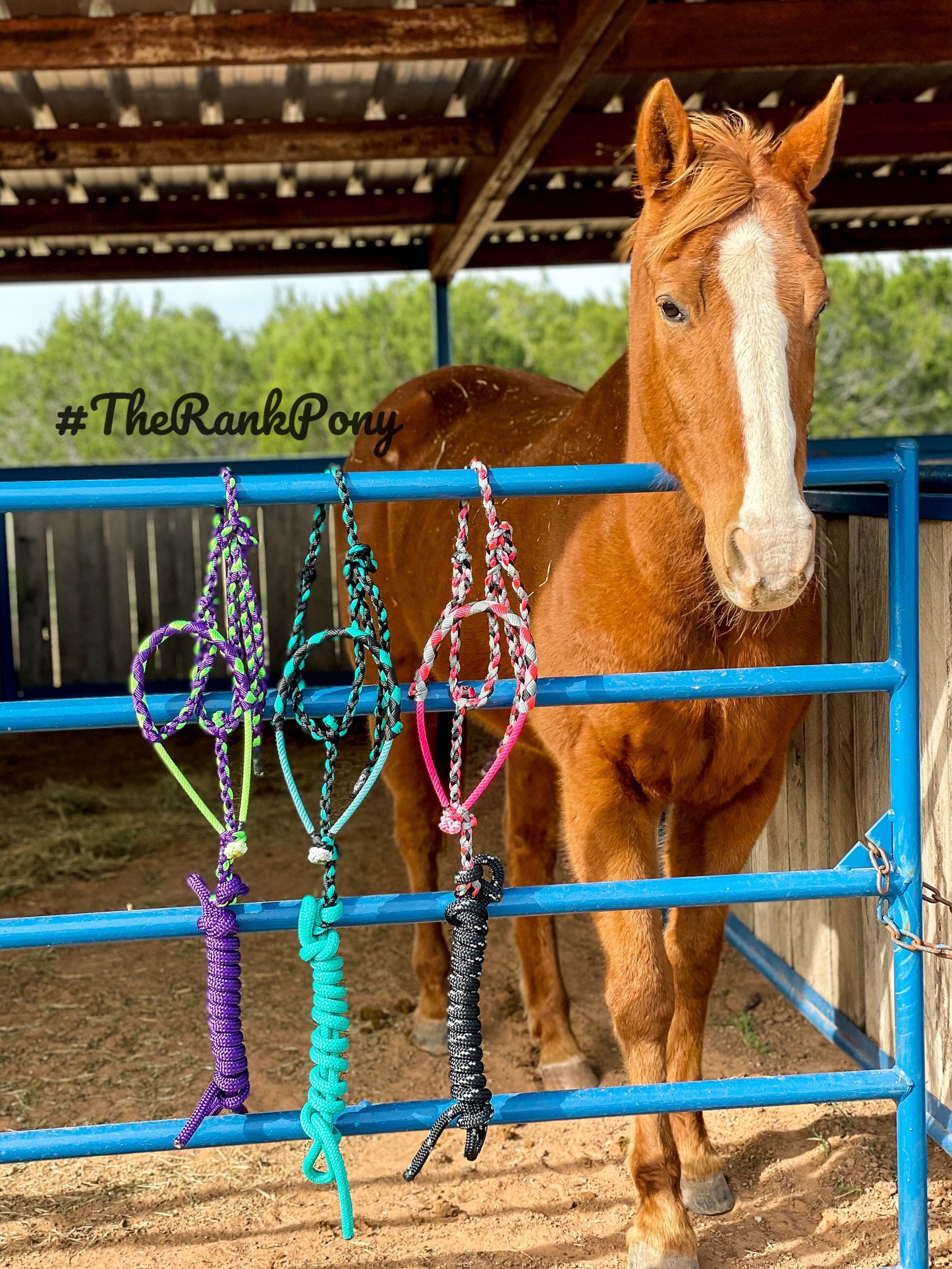 Braided Noseband